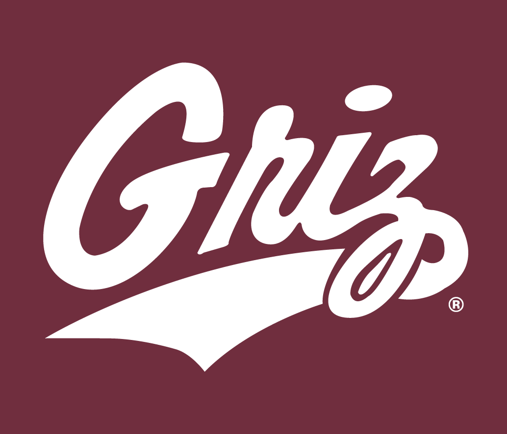 Montana Grizzlies 1996-Pres Alternate Logo v7 t shirts iron on transfers